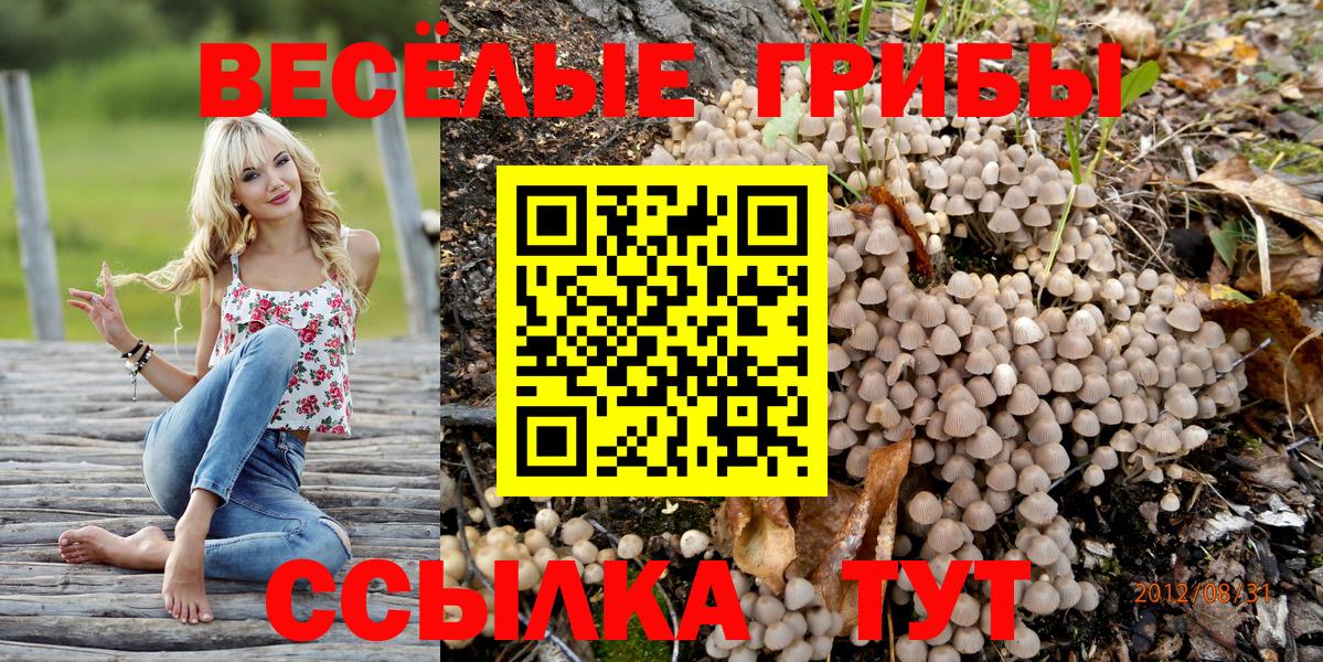 Галлюциногенные грибы прущие грибы  Вход с VPN  Псилоцибиновые грибы ЛСД  Нурлат 